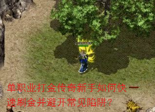 单职业打金传奇新手如何快速刷金并避开常见陷阱? 单职业打金传奇新手如何快速刷金并避开常见陷阱?
