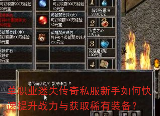 单职业迷失传奇私服新手如何快速提升战力与获取稀有装备? 单职业迷失传奇私服新手如何快速提升战力与获取稀有装备?