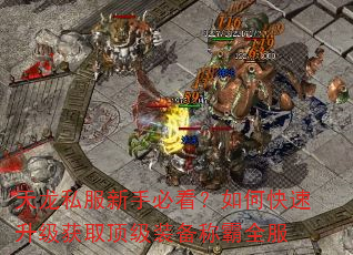 天龙私服新手必看?如何快速升级获取顶级装备称霸全服 天龙私服新手必看?如何快速升级获取顶级装备称霸全服