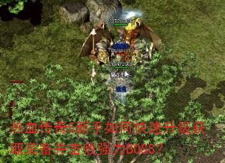 热血传奇5新手如何快速升级获取装备并击败强力BOSS? 热血传奇5新手如何快速升级获取装备并击败强力BOSS?