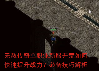 无赦传奇单职业新服开荒如何快速提升战力?必备技巧解析 无赦传奇单职业新服开荒如何快速提升战力?必备技巧解析