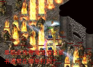 单职业传奇魔法盾技能书通常在哪里打到? 单职业传奇魔法盾技能书通常在哪里打到?