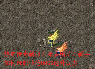 ��Ѫ�����·���������¯���������ѡְҵ��BOSS����ս��