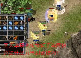 ʥ�쵥ְҵ����������ο�������ս����ˢװ���ɣ�