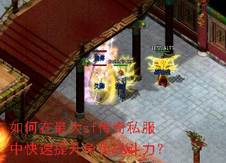��������sf����˽���п���������ɫս������