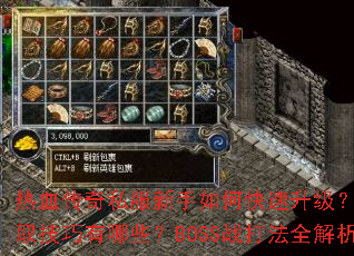 ��Ѫ����˽��������ο���������װ����ȡ��������Щ��BOSSս��ȫ������