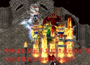 ���浥�����������������������������սBOSS����ȫ������