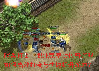 ���ڴ��ְҵ�����洫����Ϸ��θ�Ч������������ս����