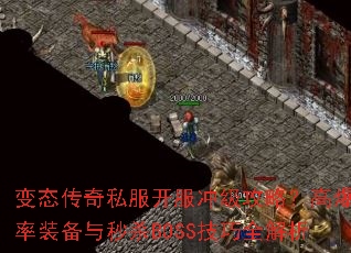 ��̬����˽�������弶���ԣ��߱���װ������ɱBOSS����ȫ����