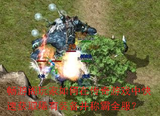 畅游阁玩家如何在传奇游戏中快速获取稀有装备并称霸全服? 畅游阁玩家如何在传奇游戏中快速获取稀有装备并称霸全服?