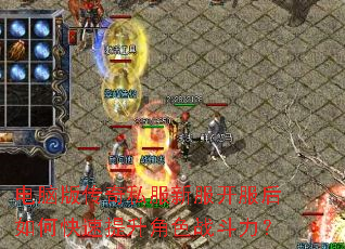 ���԰洫��˽���·���������ο���������ɫս������