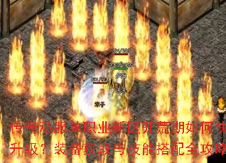 ����˽����ְҵ������������ο���������װ����ȡ�뼼�ܴ���ȫ����