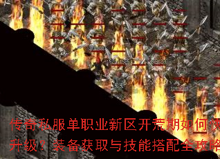 ����˽����ְҵ������������ο���������װ����ȡ�뼼�ܴ���ȫ����