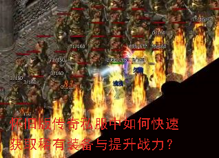 ���ɰ洫��˽������ο��ٻ�ȡϡ��װ��������ս����