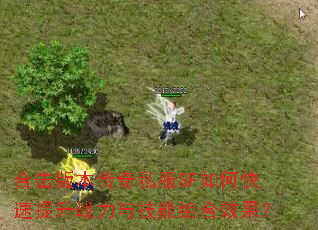合击版本传奇私服SF如何快速提升战力与技能组合效果? 合击版本传奇私服SF如何快速提升战力与技能组合效果?
