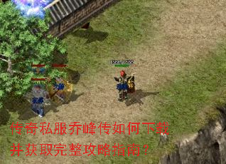 ����˽���Ƿ崫������ز���ȡ��������ָ�ϣ�