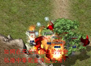 ������޳�ֵ���ڵĴ���˽������봽���ٱ�ǿ��