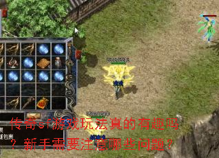 传奇sf游戏玩法真的有趣吗?新手需要注意哪些问题? 传奇sf游戏玩法真的有趣吗?新手需要注意哪些问题?