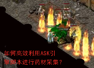 ��θ�Ч����ASK����ű�����ҩ�Ĳɼ���