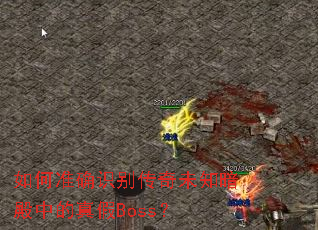 ���׼ȷʶ����δ֪�����е����Boss��