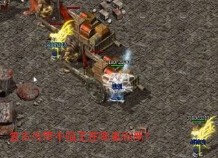 ���Ŵ�����è��������ˢ�£�