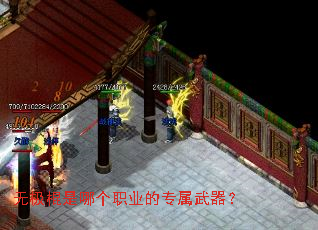 无极棍是哪个职业的专属武器? 无极棍是哪个职业的专属武器?