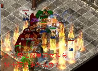 �ڴ���˽����׷Ů���ܱ�����������ô�죿