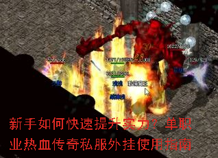 ������ο�������ʵ������ְҵ��Ѫ����˽�����ʹ��ָ��