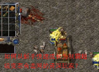 ��δ����ֿ��ٳɳ�Ϊ�ưԳ�����̬�ϻ�����������ң�