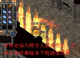 �����϶�Ϊ�����˻�ζ��������������汾�������ӹ���