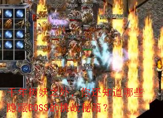 ǧ������֮�⣬�㻹֪����Щ����BOSS����ս�ؼ���