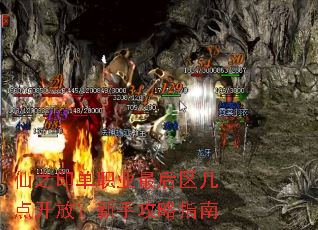 ��֮ӡ��ְҵ��������㿪�ţ����ֹ���ָ��