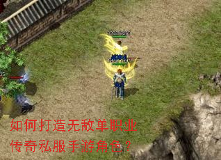 ��δ����޵е�ְҵ����˽�����ν�ɫ��