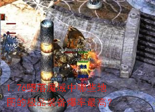 1.76����ħ������Щ��ͼ�ļ�Ʒװ��������ߣ�