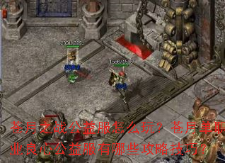 ����֮ս�������ô�棿���µ�ְҵ���Ĺ��������Щ���Լ��ɣ�