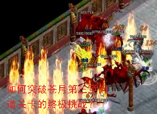 ���ͻ�Ʋ��µ������ʵ��ؿ����ռ���ս��