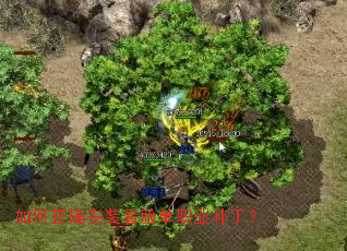 �����ȷ��װ������ְҵ������