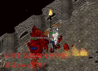 ��δ�����ħ�����еĶ���boss���