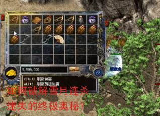����ƽ�ѩ����ɱ��ʧ���ռ����أ�