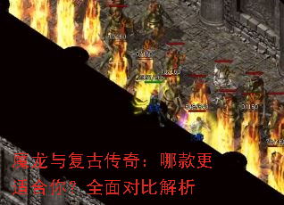 ħ���븴�Ŵ��棺�Ŀ���ʺ��㣿ȫ��ԱȽ���