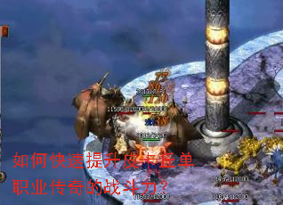 ��ο�������Ƥ����ְҵ�����ս������