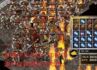 �·�ԤԼ��������ο��ٳ弶�ư��귨��½