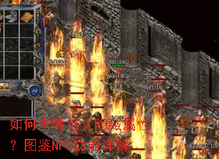 ��β鿴�����������ԣ�ͼ��NPC�������