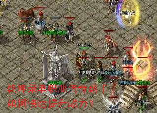 Ǭ��¼��ְҵ����������ο�������ս����