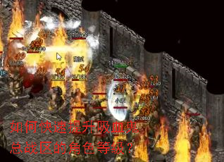 ��ο���������Ѫ����ս���Ľ�ɫ�ȼ���