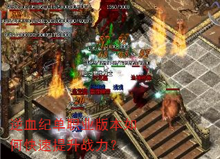 ��Ѫ�͵�ְҵ�汾��ο�������ս����