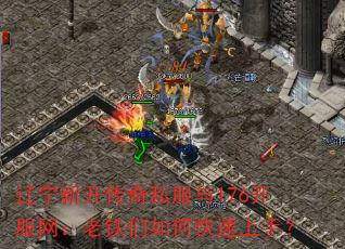 �����¿�����˽����176����������������ο������֣�