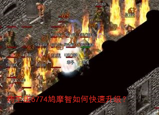 药王庄6774鸠摩智如何快速升级? 药王庄6774鸠摩智如何快速升级?