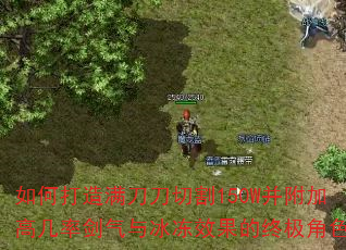 如何打造满刀刀切割150W并附加高几率剑气与冰冻效果的终极角色? 如何打造满刀刀切割150W并附加高几率剑气与冰冻效果的终极角色?