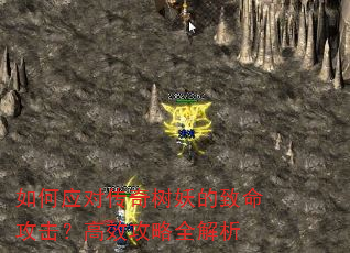 如何应对传奇树妖的致命攻击?高效攻略全解析 如何应对传奇树妖的致命攻击?高效攻略全解析